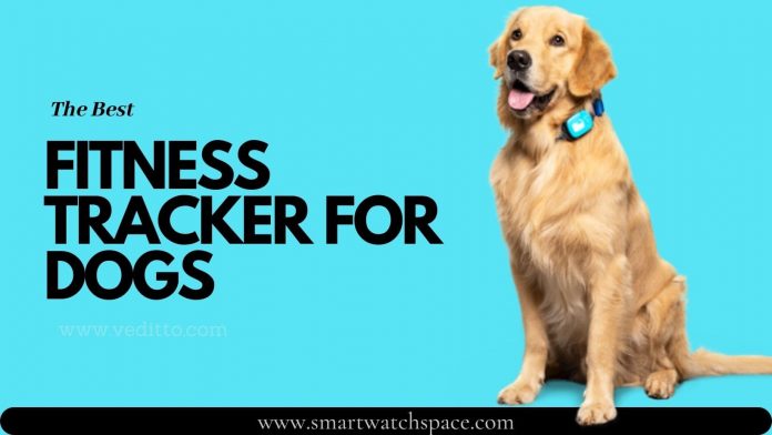 BEST FITNESS TRACKER FOR DOGS